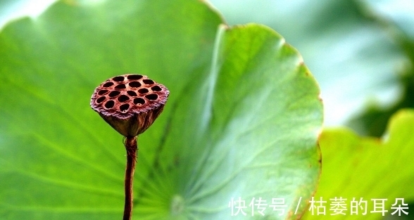 徐霞客|老祖宗:一个家庭的败落,往往从这些事开始,需谨慎