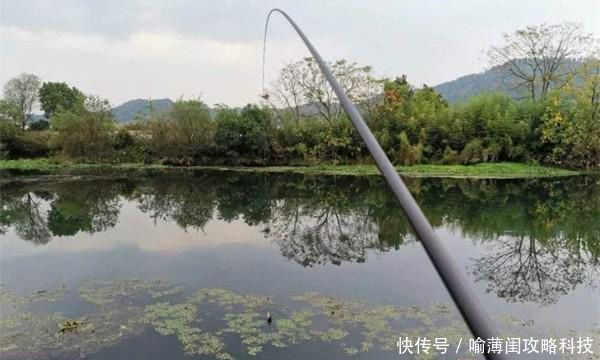 钓鱼必杀技久坐无鱼咬钩,试试这些狠招数,咬钩量翻几倍