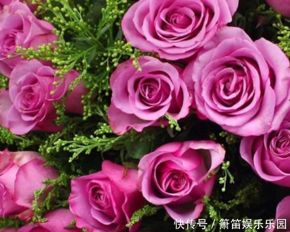 推荐几种阳台种植的花草,一年四季都能养,花开繁盛惹人爱