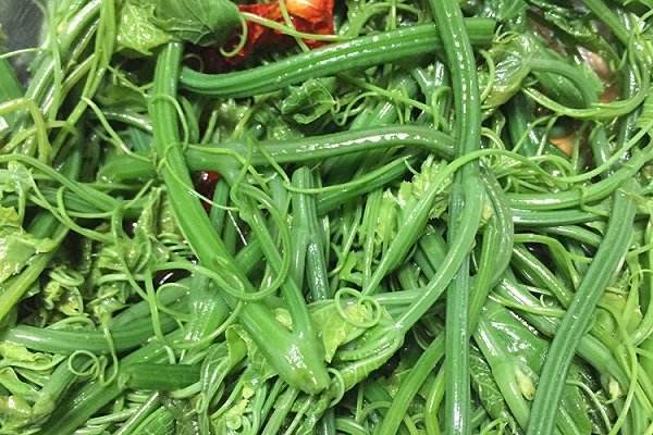 价值|这野菜长得像“龙须”，假如你见到，可别轻视或除掉，价值很高