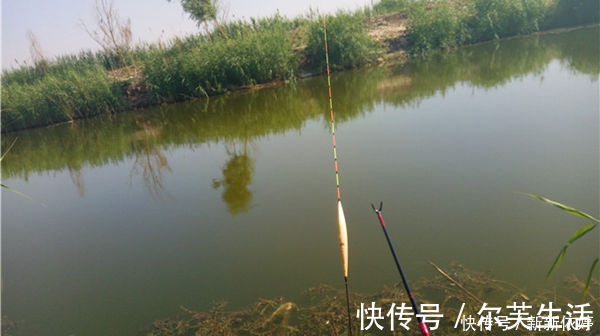 调漂|浮漂选用的3大基本原则,野钓、黑坑都适用,钓鱼人的必修课