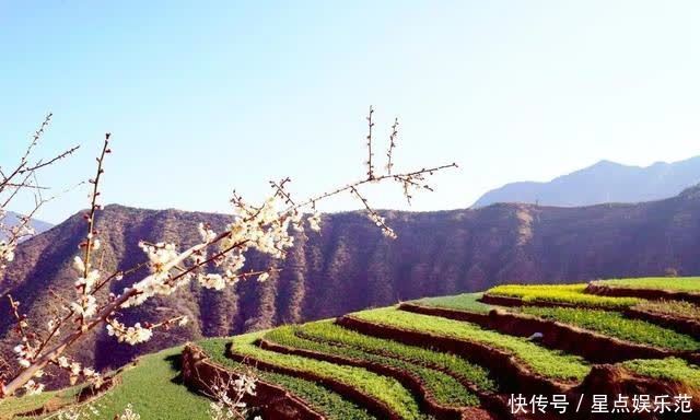 人间|油菜花漫舞在云南大姚紫丘山麻街村的山岗