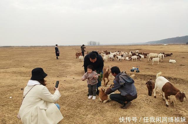 中年|南昌禁养区变“网红收费打卡地”！两部门回应将介入调查