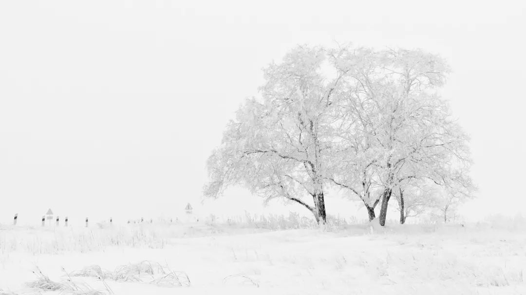  大雪至，寒冬始|海报 | 大雪