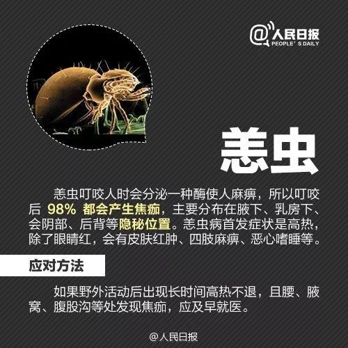 恙虫|江西男子被它叮了一下，紧急抢救