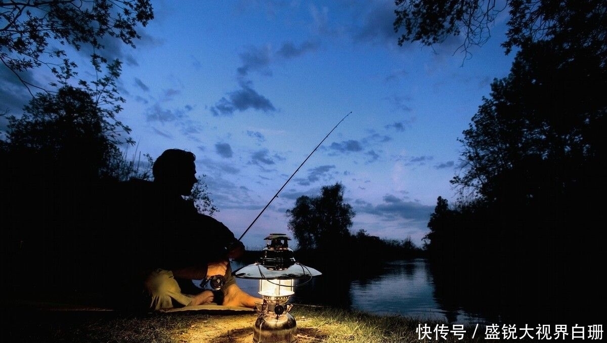 觅食|夜钓这10句口诀表一定要了解,让你钓得更爽