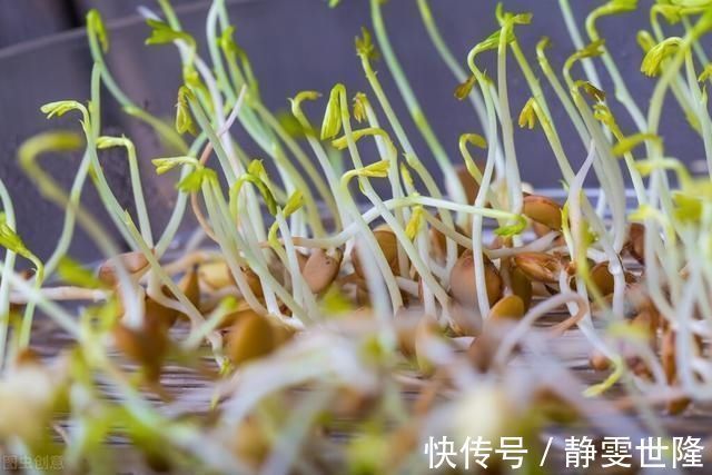 海鲜|盘点痛风最害怕的7种“毒”,越早拒绝越好4种食物可多吃