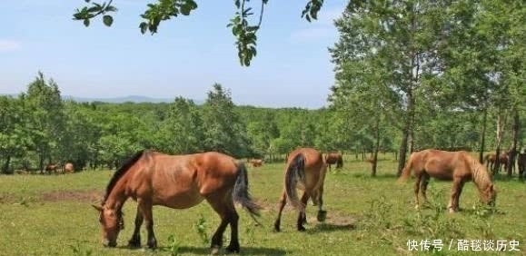 老农|朱元璋老农家避雨,问:你姓啥?老农回答完,老朱:可算找到你了!