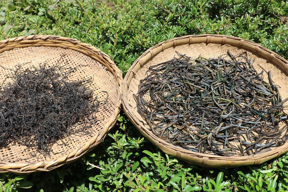 6种蔬菜好吃还不贵,秋天正当季,多买点晒干,冬天炖肉真过瘾!