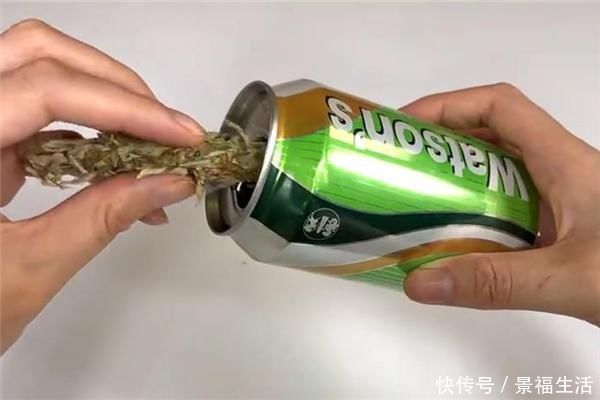 艾草|过完端午节,赶快把门口的艾草收回来,现在知道不算晚,告诉家人