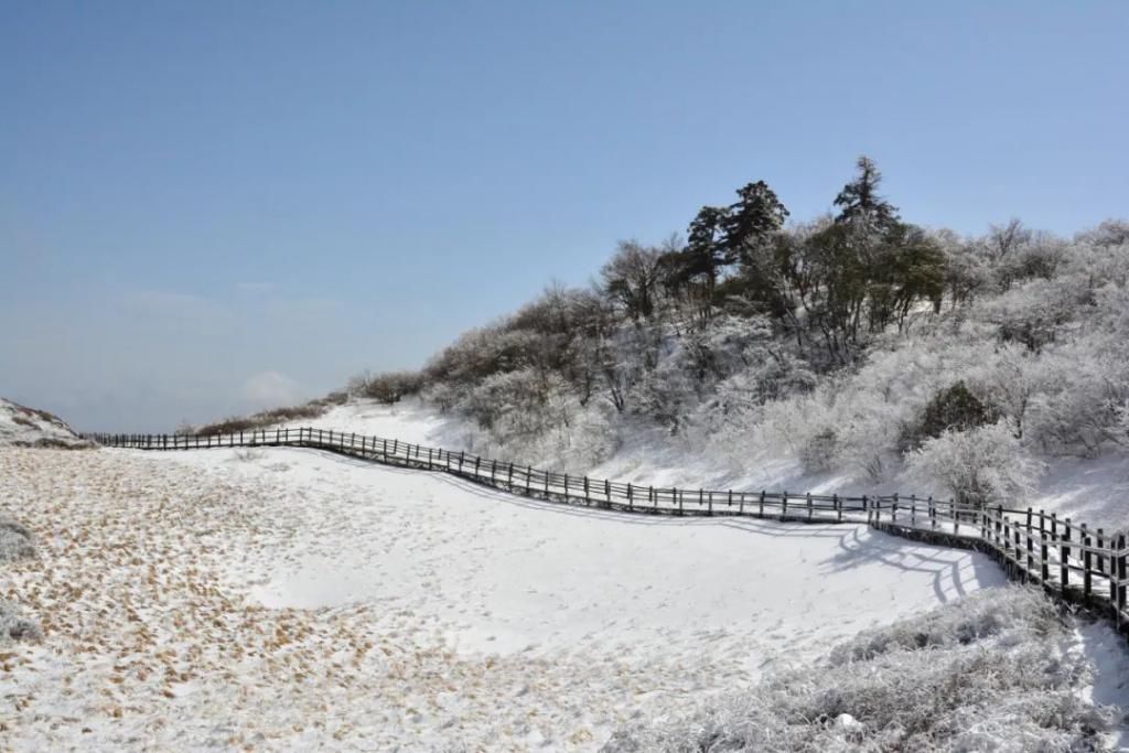 县区|初雪！周边县区雪景美图来袭！