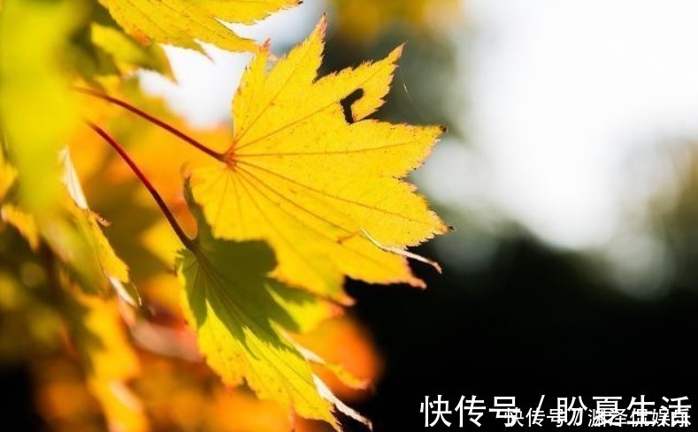 三秋@一首流传两千多年的肉麻诗,其中一句常被人挂在嘴边,却不解其意