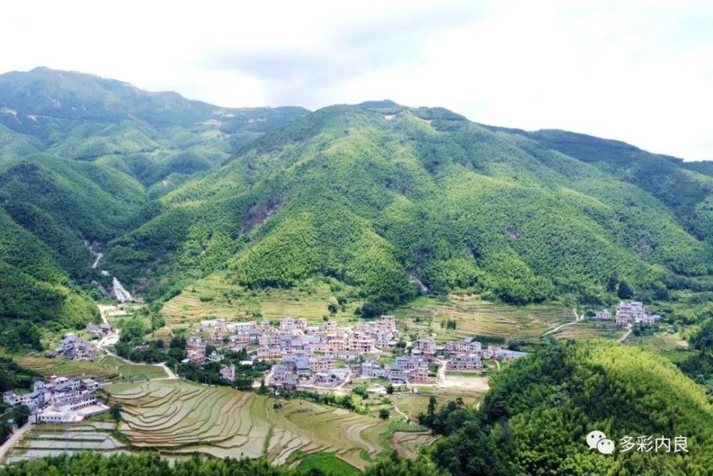 生态|喝着山泉水长大的内良高山稻米，认识一下