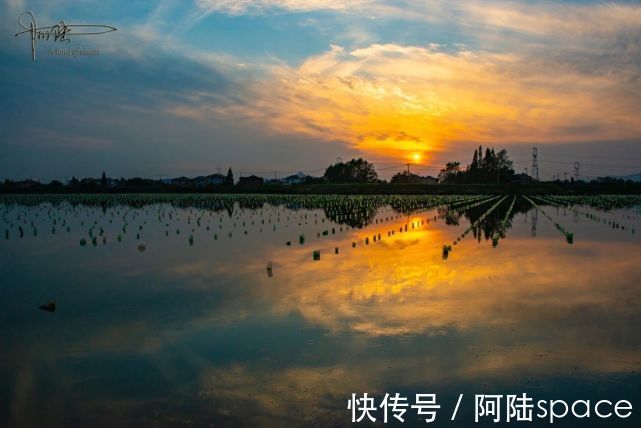 珍珠蚌|余杭的北湖草荡不过如此，还没有它旁边的一口池塘好看