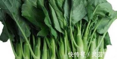 黄疸|农村天然野菜 食疗价值高 可以治疗黄疸 赤白痢疾