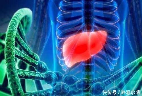 动物肝脏|6种食物很伤肝,很多朋友还没当回事,别等肝病来了才后悔!