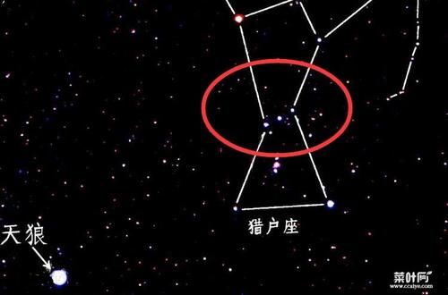 天狼星被称为洪水之星 天狼星要比恒星大5倍