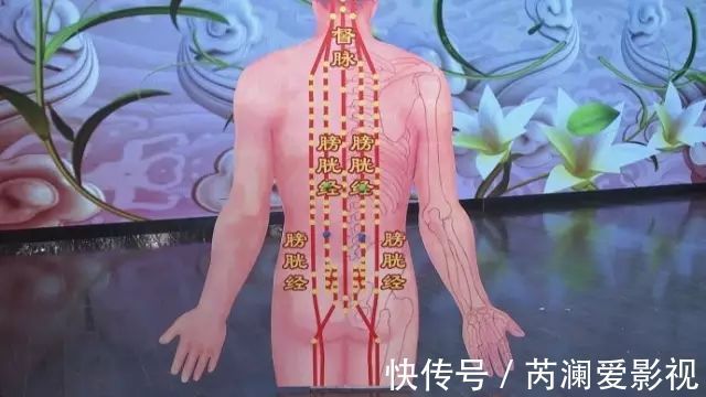 颈动脉窦|百治不如一刮!10种刮痧法,刮走全身疾病,用勺子就能做!不看真亏!