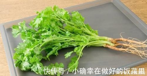 保质期|原来保存香菜很简单,教你正确方法,久放也不会出现发黄和烂叶