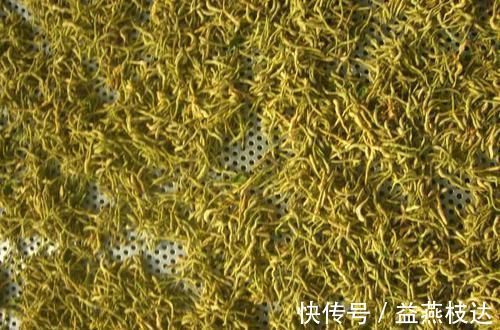 肌瘤|女人有子宫肌瘤?别怕,多吃6种食物,肌瘤或会“逐渐消失”