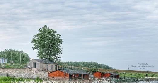 昭关|昭关孝子华传福千里寻父记