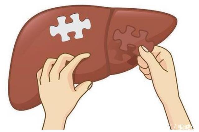 世卫组织呼吁一种“水”经常喝,肝病“不请自来”,应尽量少喝