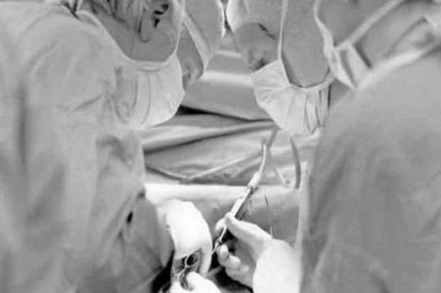 妈妈们|36年前移植“狒狒”心脏的女宝宝,手术虽然成功,结局却令人唏嘘