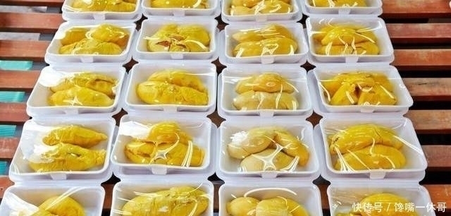榴莲|一棵榴莲树可以长上百个榴莲,为什么还卖那么贵看完你就明白了