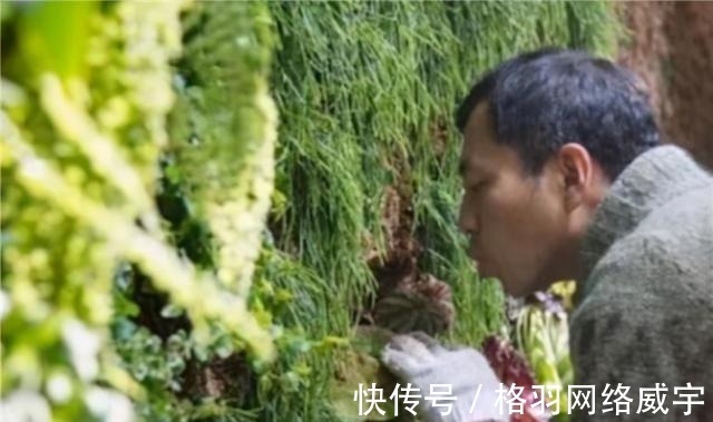 機(jī)會(huì)|還記得“最強(qiáng)大腦”王昱珩嗎？被警方邀請參與破案，后來如何？