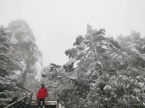 轿子|说走就走！快去轿子雪山与神奇的雾凇同框！