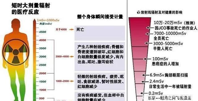 再揭量子真相薛定谔的猫，到底在说什么