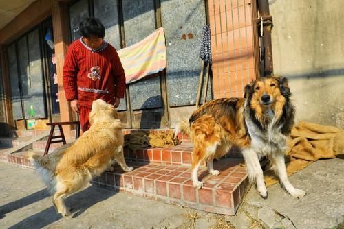 走进这座水乡古镇：邂逅曾经逝去的江南时光