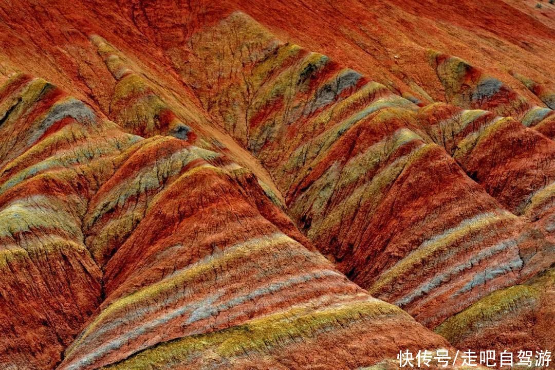 老年|这些公园，又仙又美，秒杀国内众多景点，很多人喜欢一去再去