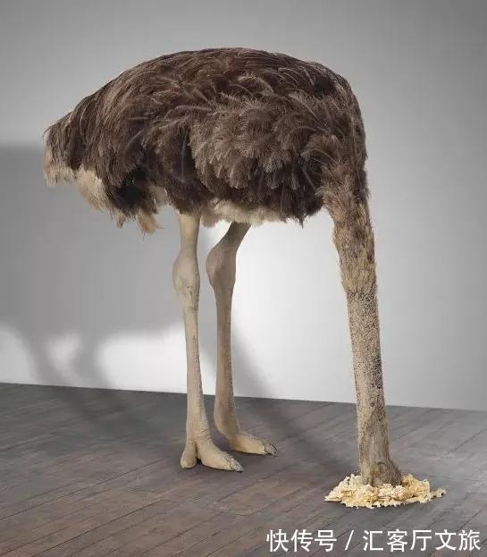 金马桶!三根香蕉卖到上百万?网友:这位国宝级艺术家太牛了!