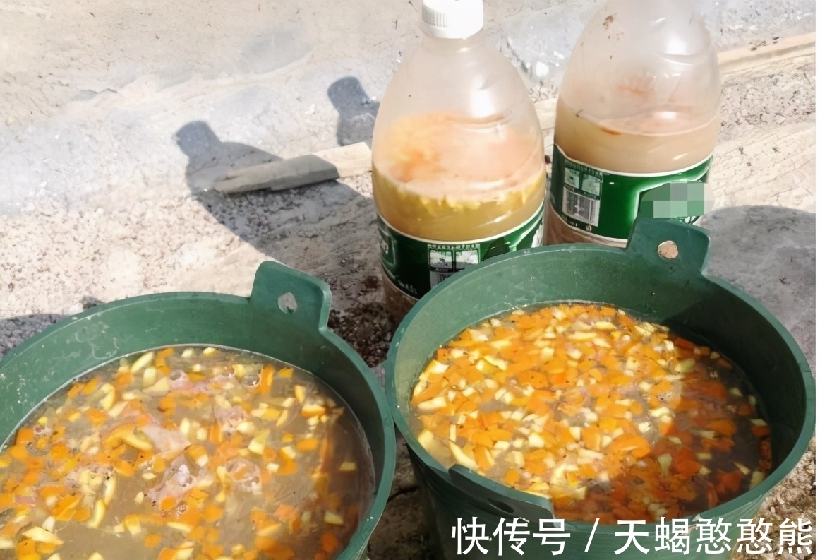 养花用啤酒,该怎么帮助根叶成长,改善土壤排水透气性?