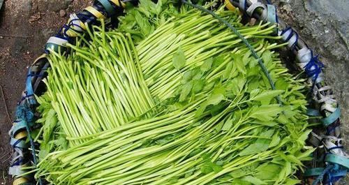 人到中年，推荐常吃几种食物，排毒消脂，皮肤更水嫩光滑