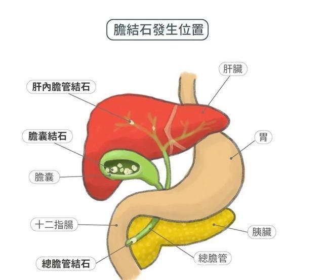 五脏|早餐1不要、午餐2不宜、晚餐3不吃！否则五脏慢慢受损