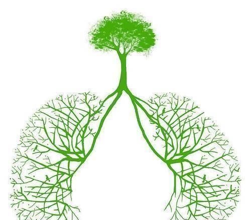 肺癌不痛不痒,可身体出现一个标志提示中晚期,最好去查下肺CT