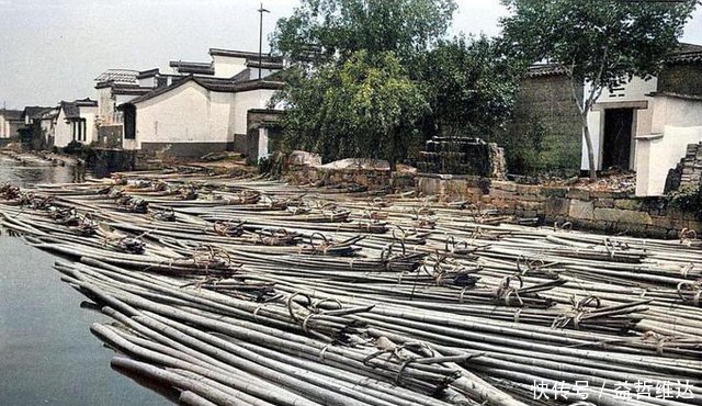 浙江|浙江“老照片”又火了，40年前街头景象！很多本地人都没看过