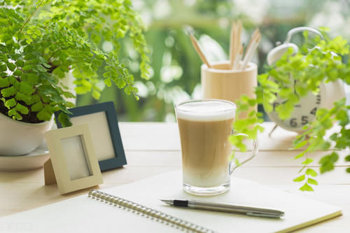 卫生间细菌多？空气质量不好？这8种盆栽养一盆试试！