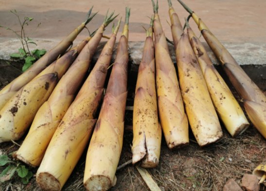 诸暨|诸暨一大伯，心血来潮吃这个...睡梦中，吐了2000ml血