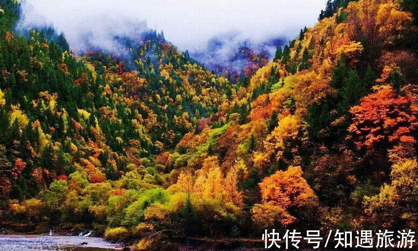 红叶|10月，国内这9个地方藏着最美的秋色，千万不能错过