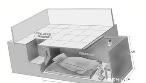 陈小龙|男子花半年偷挖地窖，囚禁18岁女孩11天，落网后：受网络小说启发
