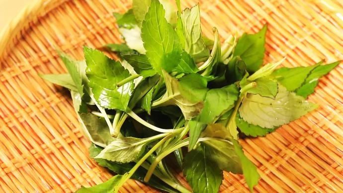 败酱草|【养生厨房】今日菜品——大碗包