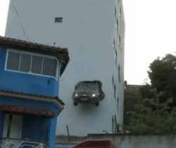 |搞笑GIF:这是谁家的狗子,再每天来这里锻炼身体,我们可要收费了