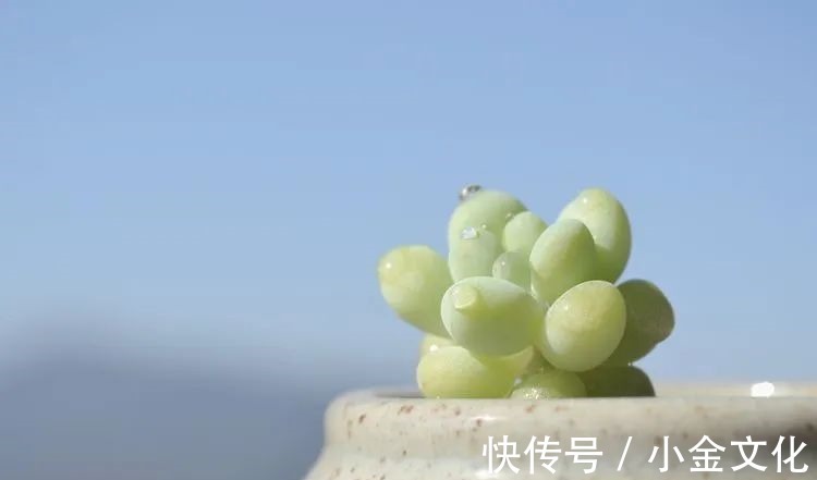 以阳光为滤镜,蓝天为背景,期待拥抱春天,拥抱自然!