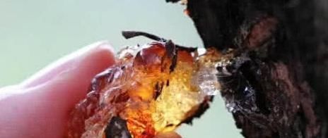 女人别太节俭4种“零食”要多吃，美白养颜，延缓衰老更年轻