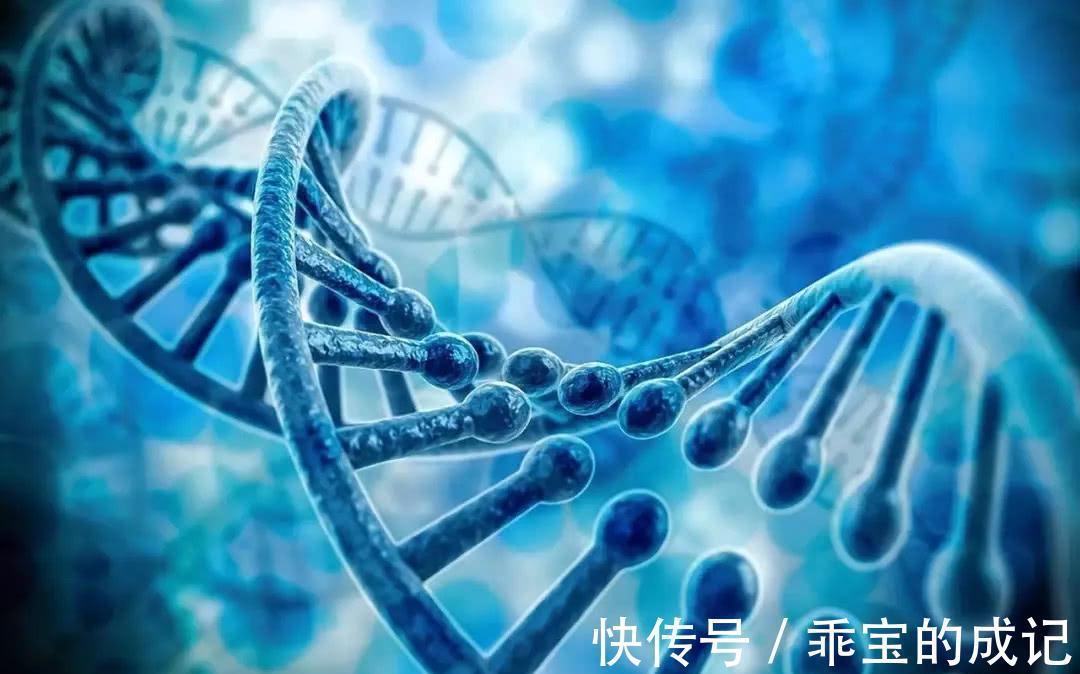 腹痛|胰腺癌被称为“癌王”?有6大类高危人群,有哪些典型的征兆?