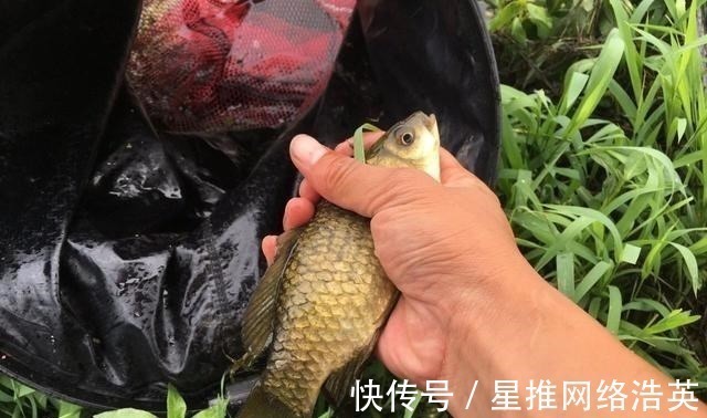 蚯蚓挂钩的6个小技巧,学会后渔获多多,一条接着一条