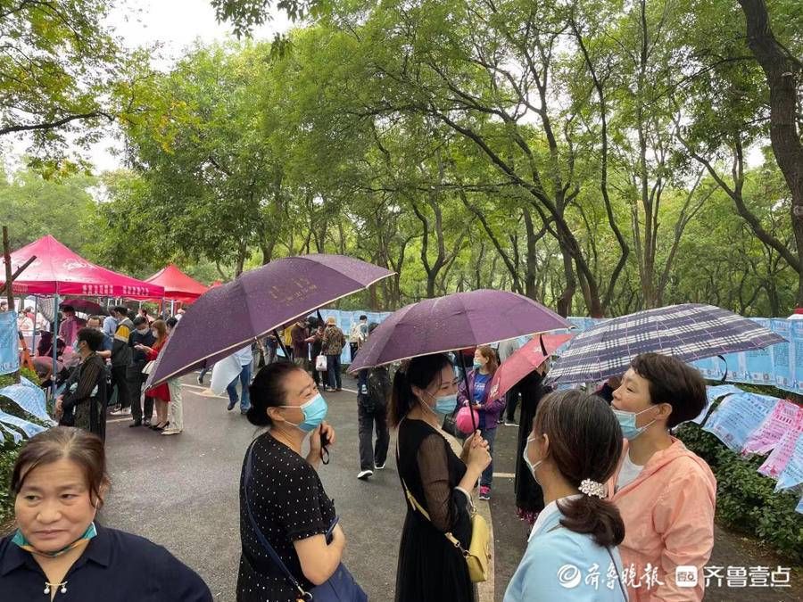 相亲大会|秋雨挡不住脱单的脚步！千佛山相亲大会开幕首日人气爆棚